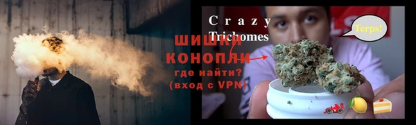 винт Ладушкин