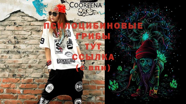винт Ладушкин