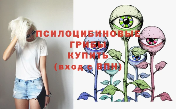 прущая мука Лабытнанги