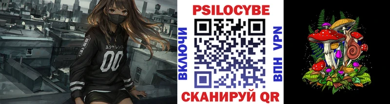 Галлюциногенные грибы Cubensis  Купить где  Карачаевск 